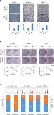 Molecular Interplays Between Cell Invasion and Radioresistance That Lead to Poor Prognosis in Head-Neck Cancer